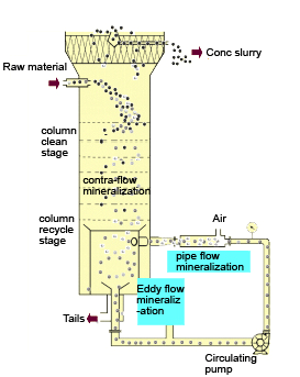 Cyclonic flotation column