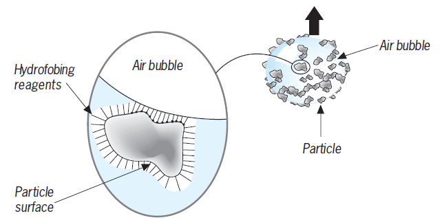 froth flotation