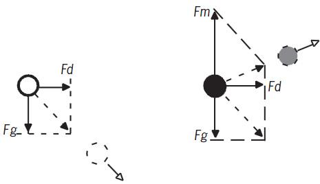 Magnetic Separation