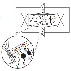 Magnetic Separator