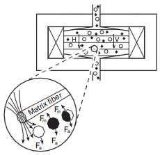 Magnetic Separators